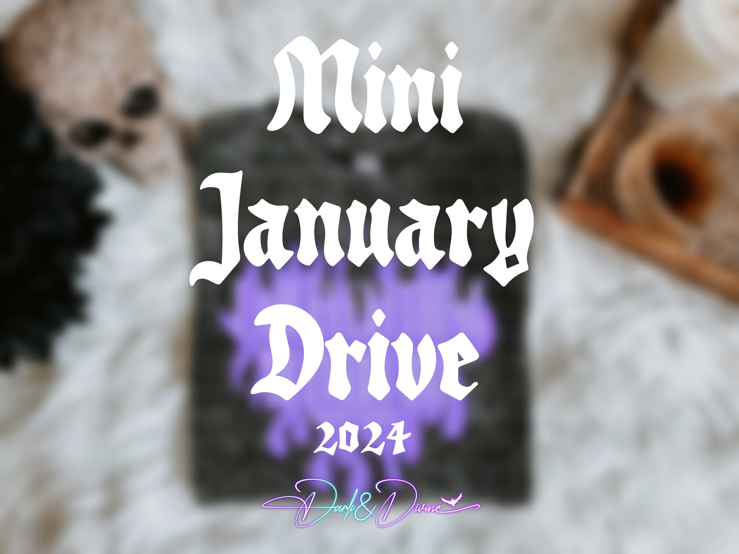 Mini January Drive